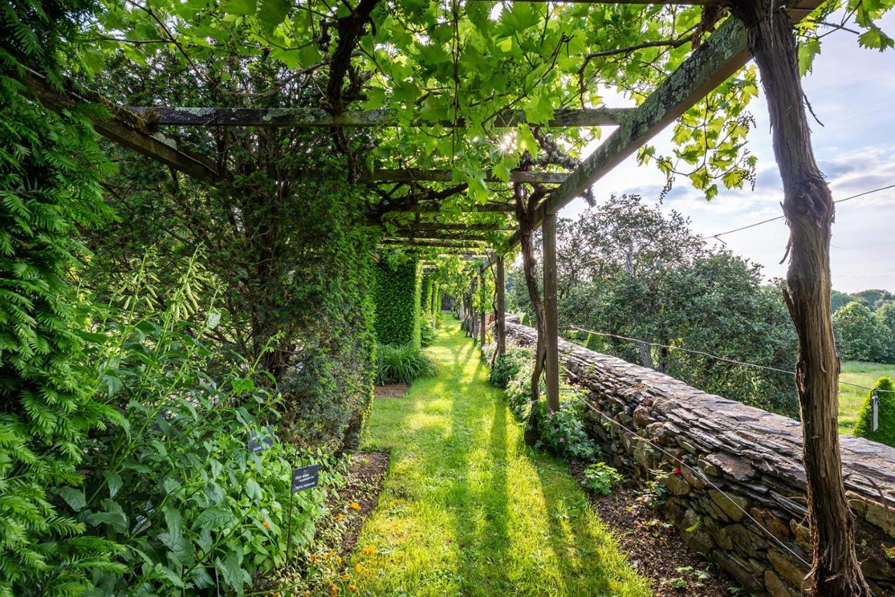 Manoir De La Groye Ξενοδοχείο Saint-Saturnin-sur-Loire Εξωτερικό φωτογραφία