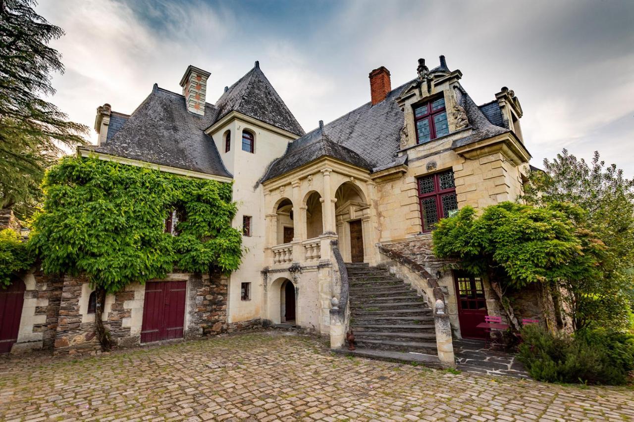 Manoir De La Groye Ξενοδοχείο Saint-Saturnin-sur-Loire Εξωτερικό φωτογραφία